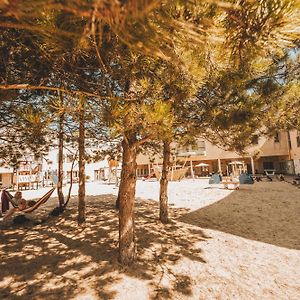 Vakantiedomein Hoge Duin